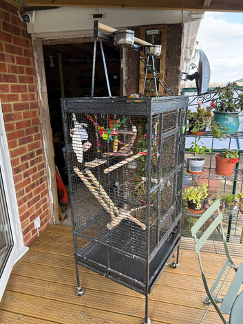 Parrot cage