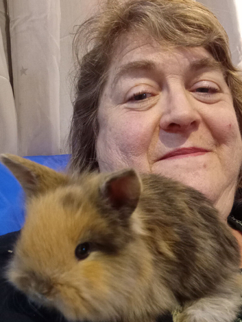 Mixed breed lionhead rabbits