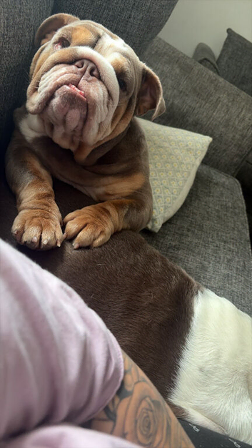 Brother and sister available