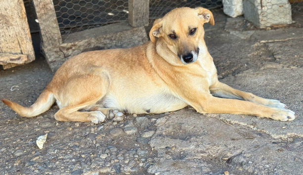 LUNA – The Devoted Mum Who Never Gave Up