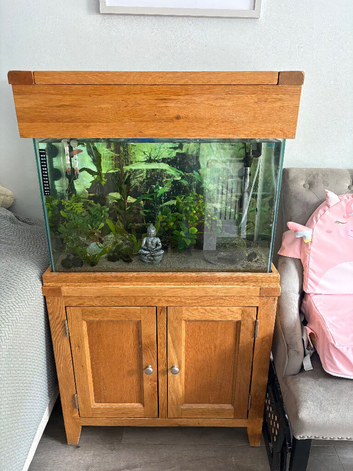 Aqua oak 100 litre fish tank