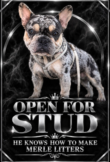 Open for stud