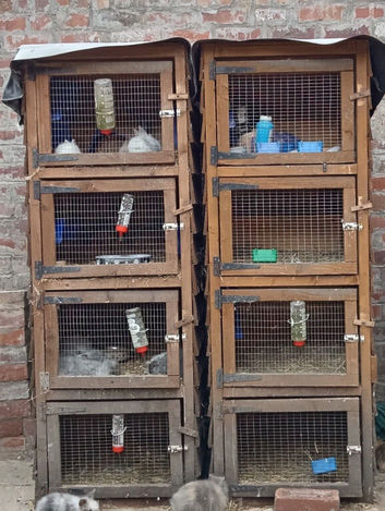 Block of 4 hutch
