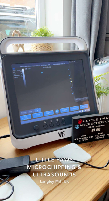 Pet Pregnancy Ultrasound