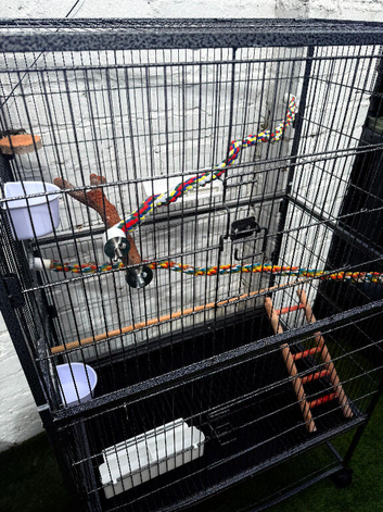 LARGE BIRD CAGE