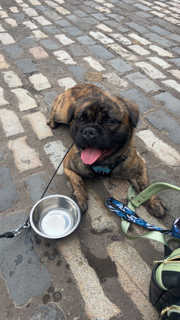 1yo Sookie
