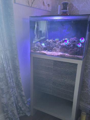 Full marine  set up