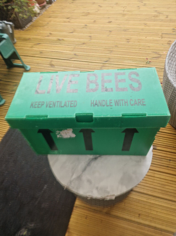 6 frame nuc of honey bees ready for collection : RYE, EAST SUSSEX