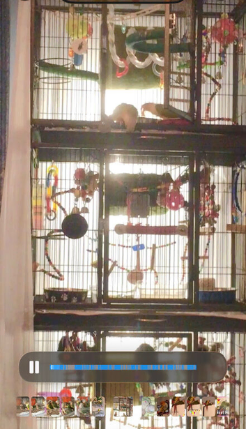 3 stacked parrot cages on wheels Breeding bird cages used