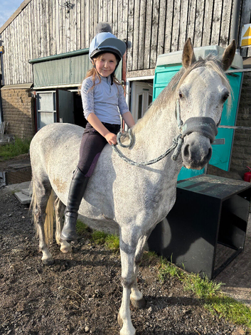 Tank - 12hh Welsh B Gelding
