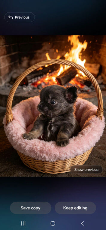 Chihuahua
