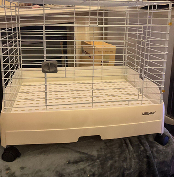 Rabbit cage