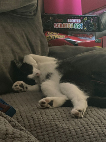 5 month old boy