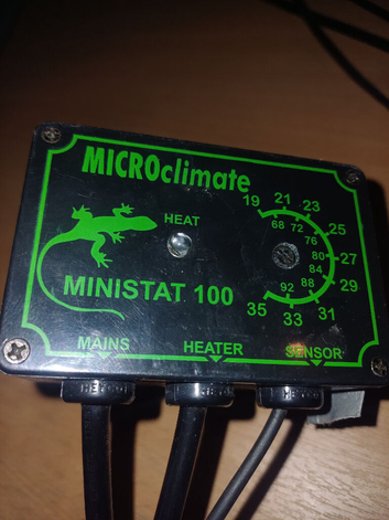 Ministat