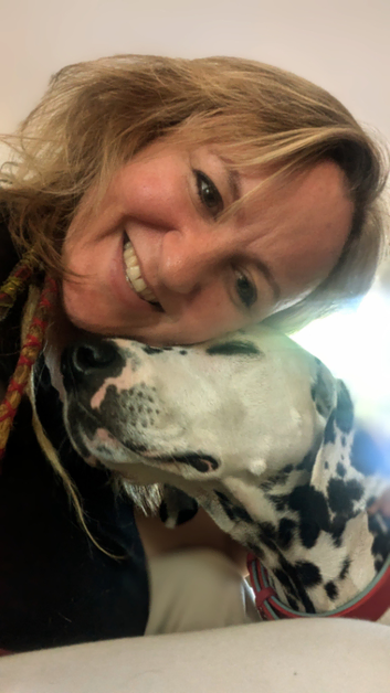 Experienced Dog Walker, Pet/House Sitter For Glastonbury, Wells, Street & Surrounding Area