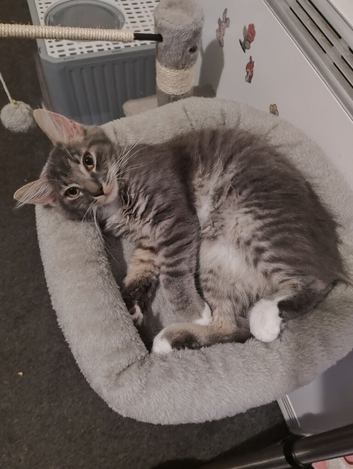 Boy and girl 8 months old