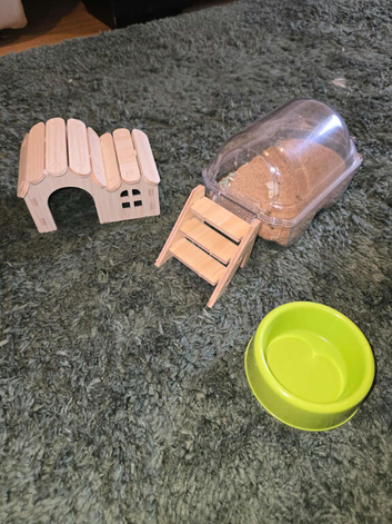 Lil Syrian hamster girl an cage