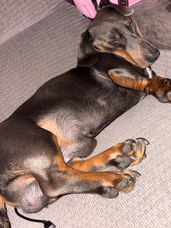 Slinky