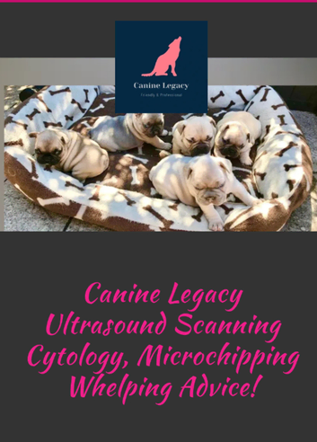 Mobile Pet Microchipping, Pregnancy Ultrasounds!!