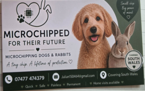 Microchip dog and rabbits