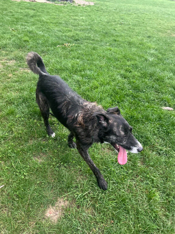 Denson needs a patient home