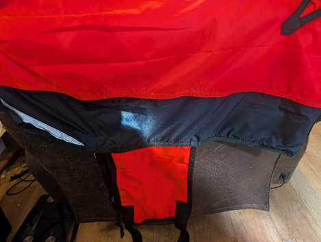 Horse's Coat