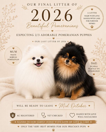 WAITLIST OPEN