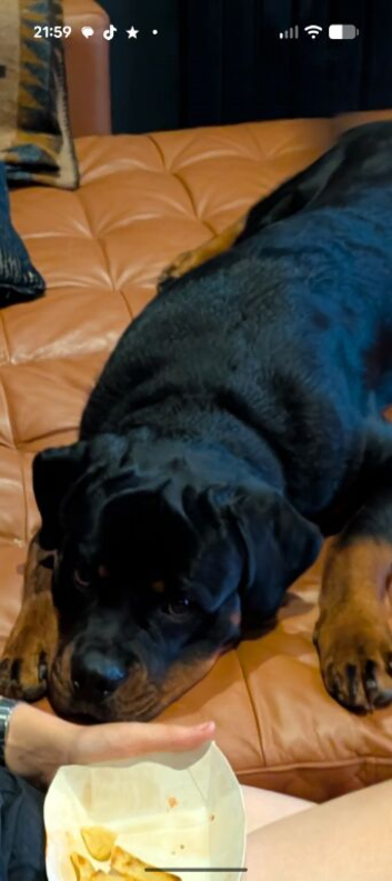 My Bear