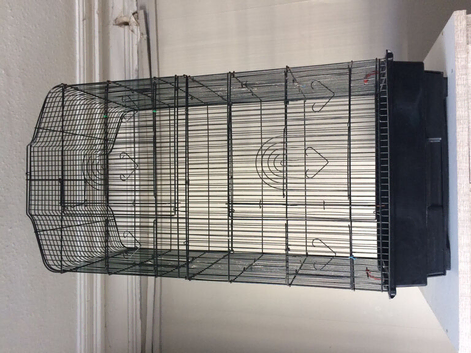 Bird cage