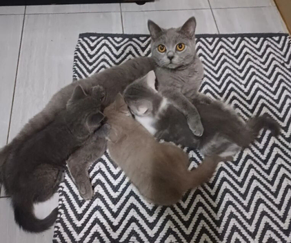 Ready to leave&zwj;
