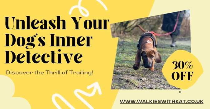 MANTRAILING INTRODUCTION COURSE