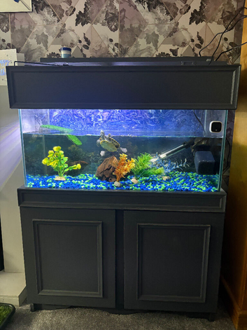 2turtles and tank