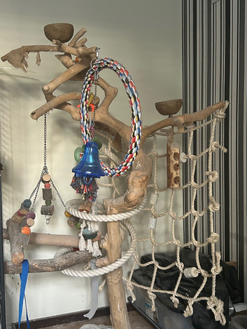 Jarva tree and toys