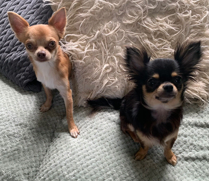 Milo and Lexi