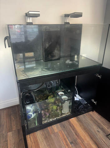 Red Sea Reefer 425XL Tank