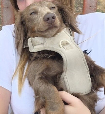 New home very sadly