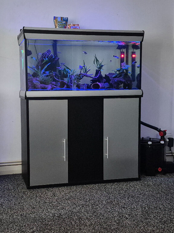 3ft fish tank full setup (read ad)