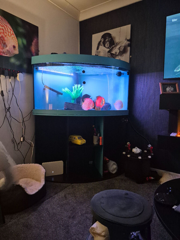 Discus