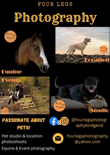 Four Legs Photography