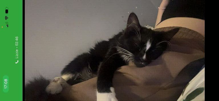 9 month old female