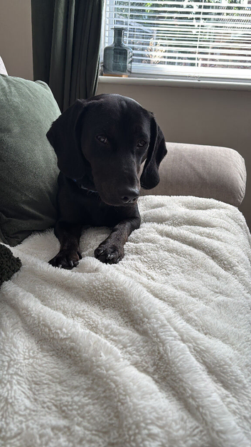 Selling a beautiful boy