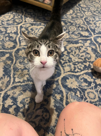 Beautiful Baby Boy