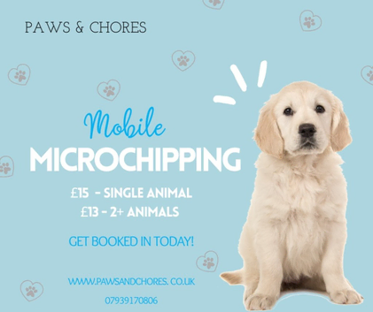 Animal microchipping