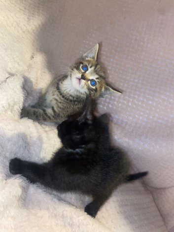 2 adorable boys.