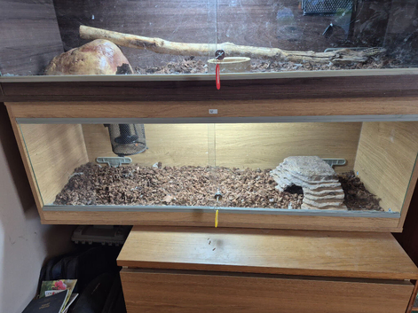 48ins vivarium