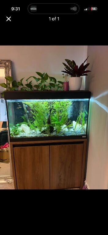 Fish tank and unit