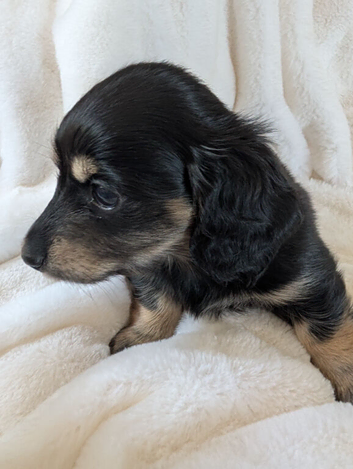 Last stunning boy available