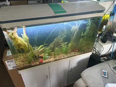 Fish tanks for sale