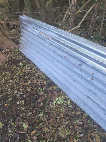Roofing sheets 10ft wide x 26" zinc sheets