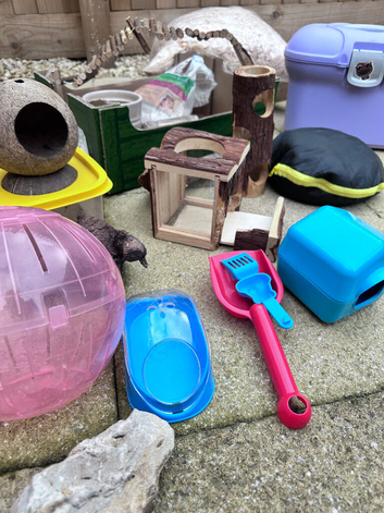 Complete Hamster Setup Bundle &ndash; 2 Cages, Accessories, Food & Friendly Hamster